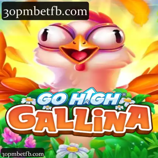 GoHighGallina